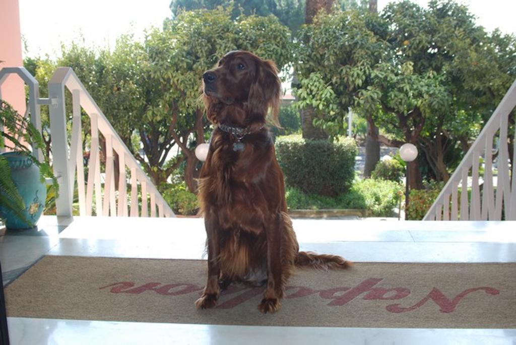 Napoleon 3* Sanremo